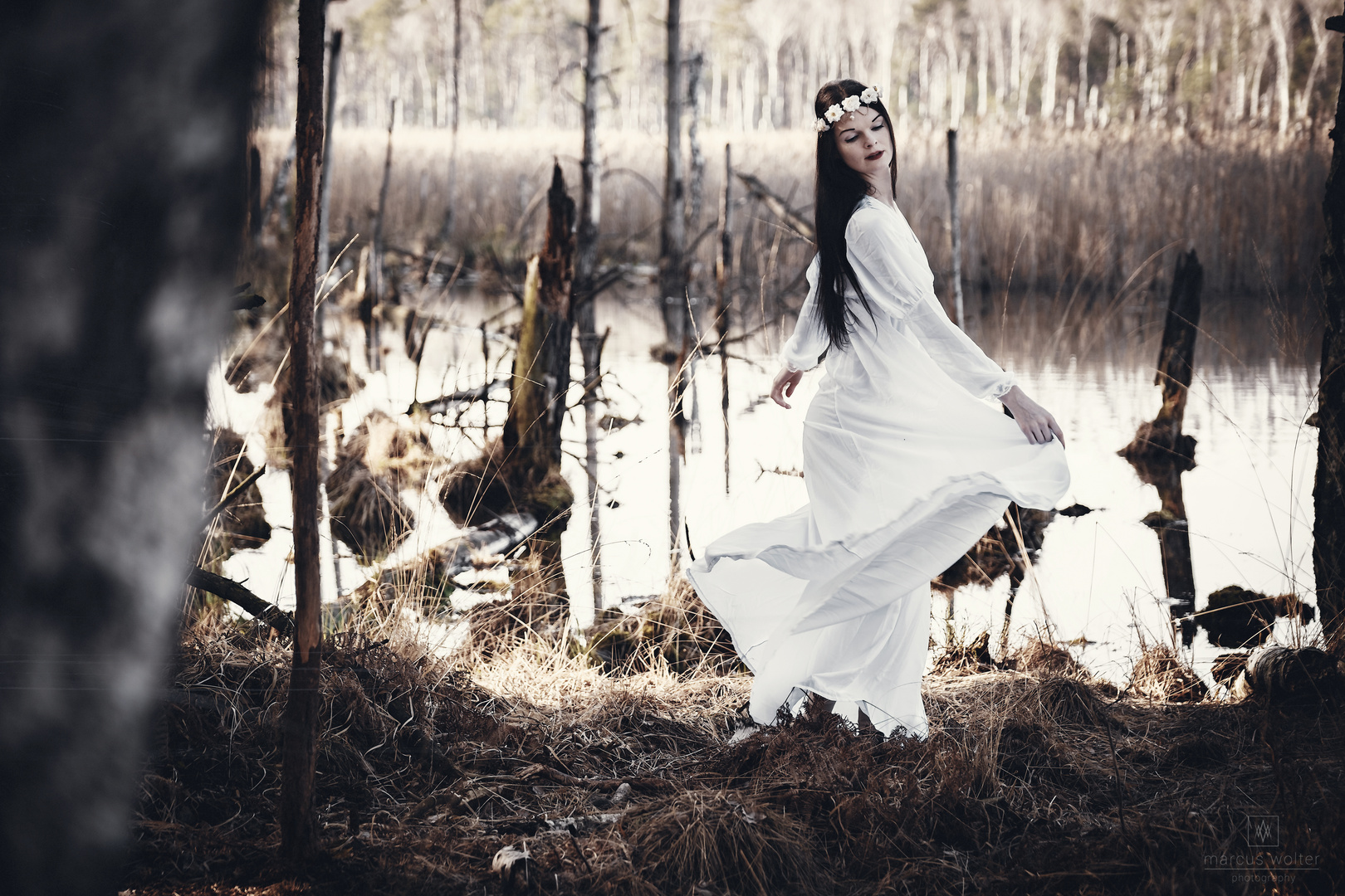 Dancing in the Swamps