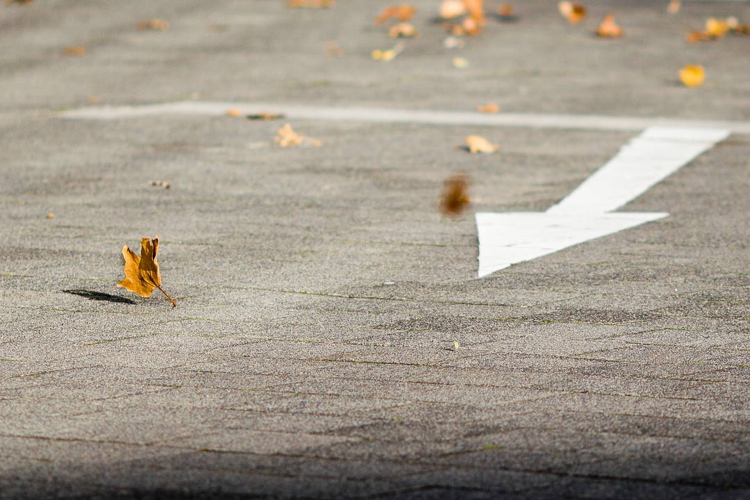 Dancing Leaf