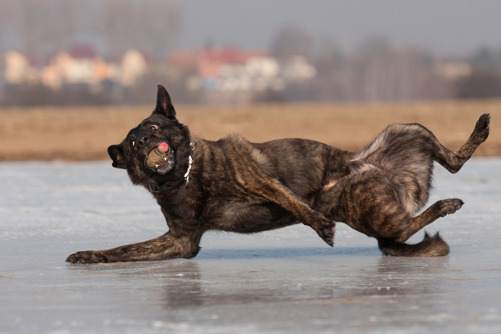 Dancing on Ice...