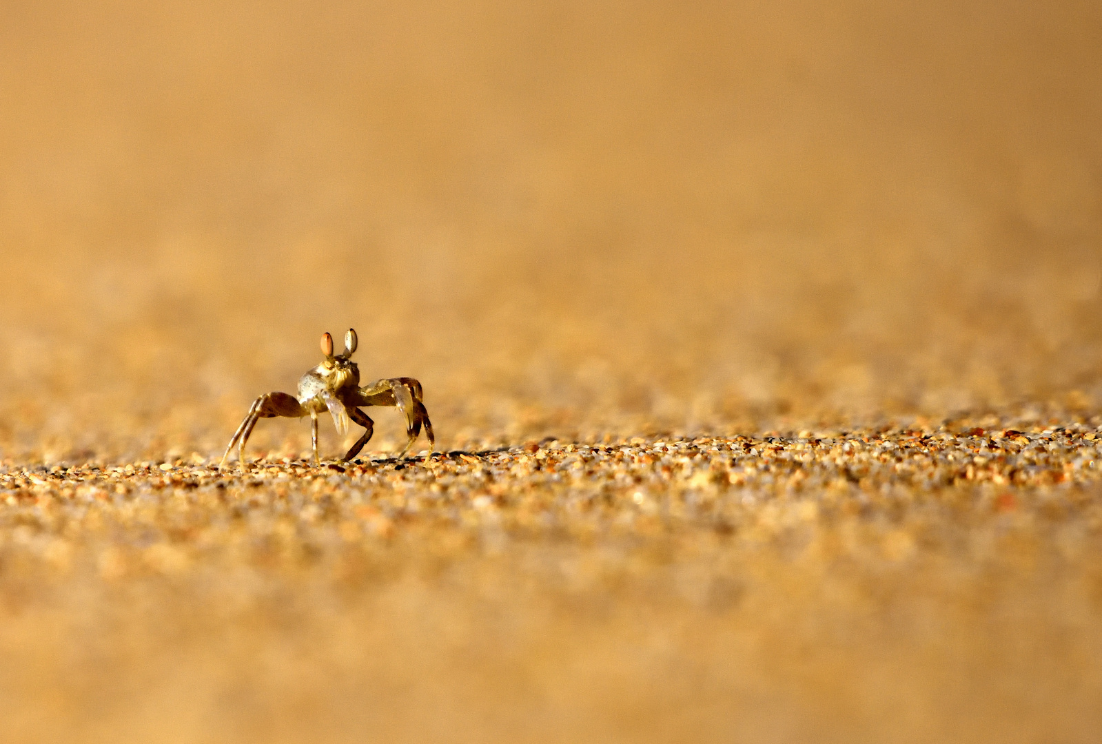 dancing on the beach