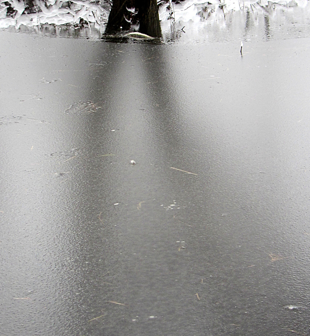 Dancing on the ice