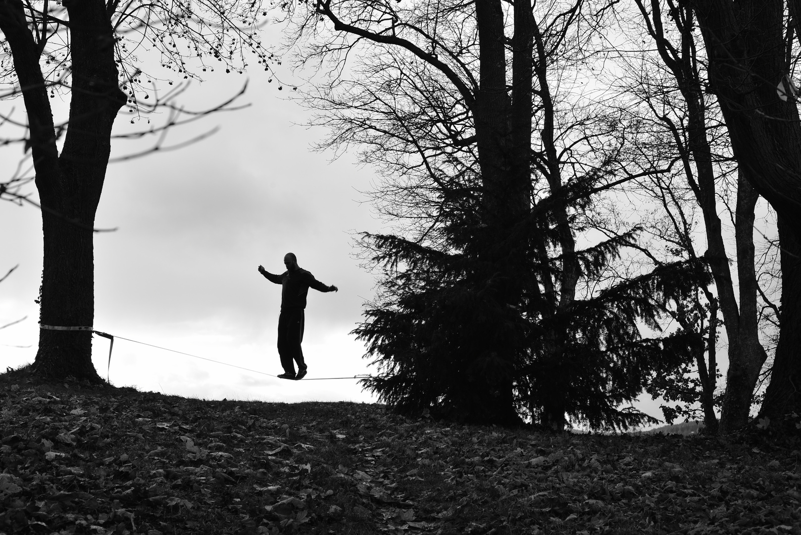 dancing on the line