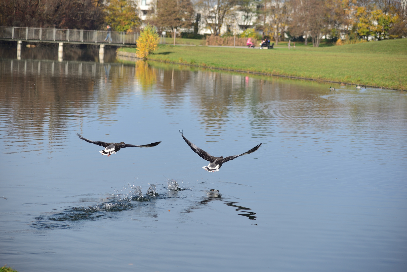 Dancing on the water