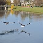 Dancing on the water