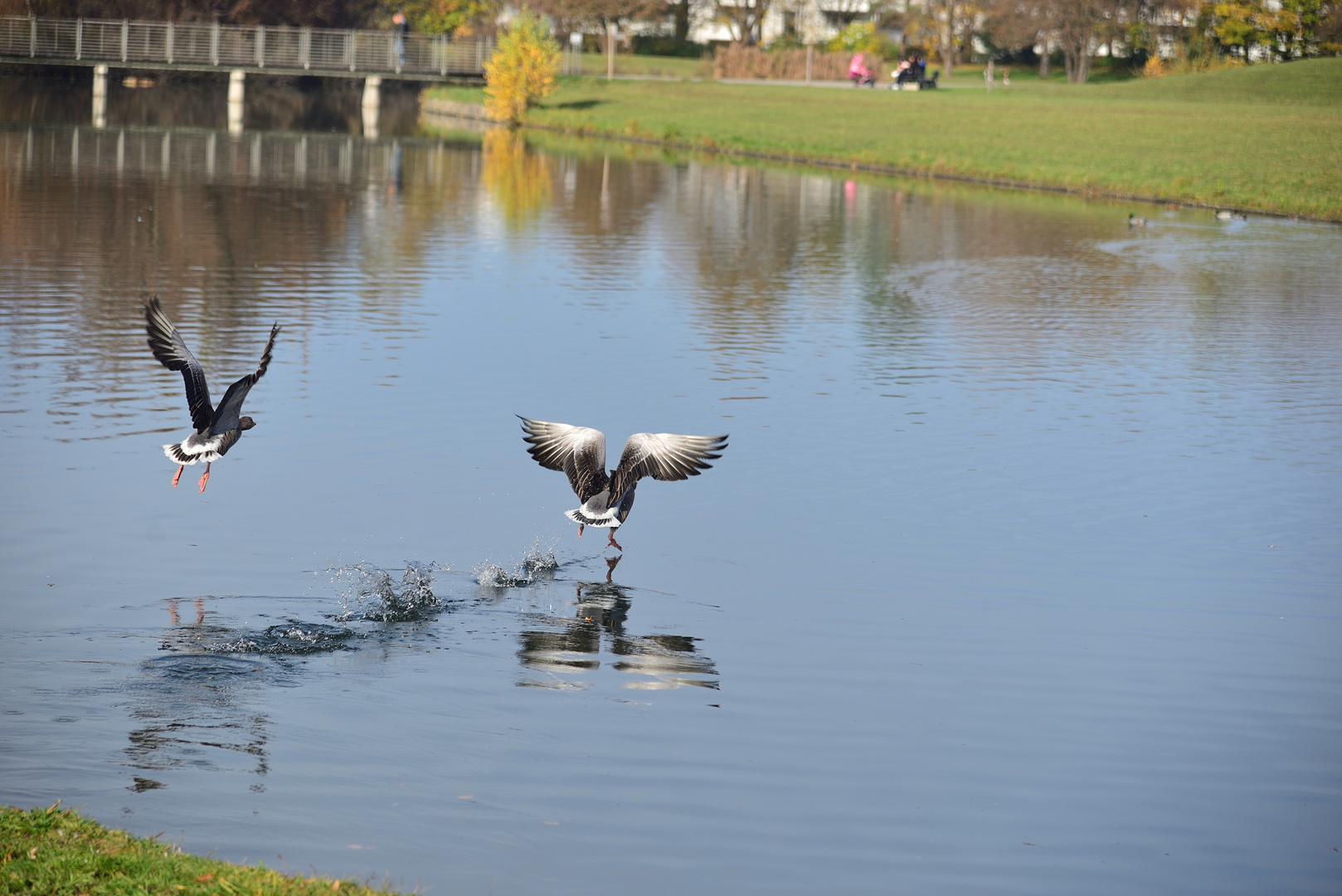 Dancing on the water