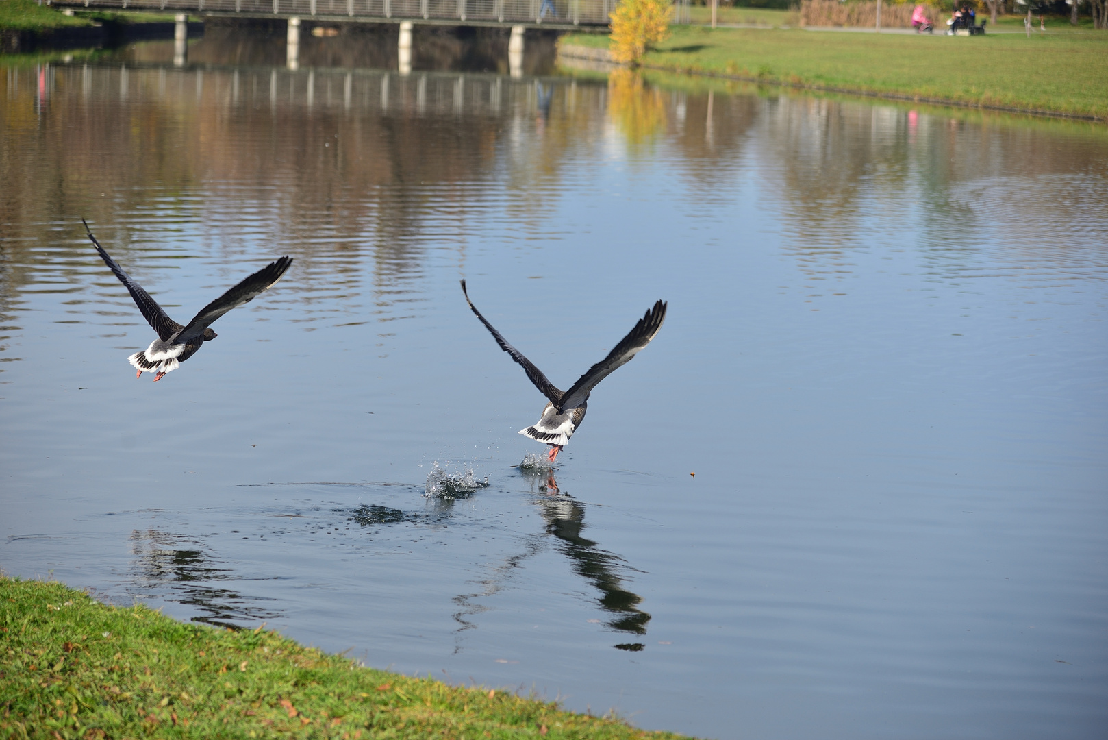 Dancing on the water