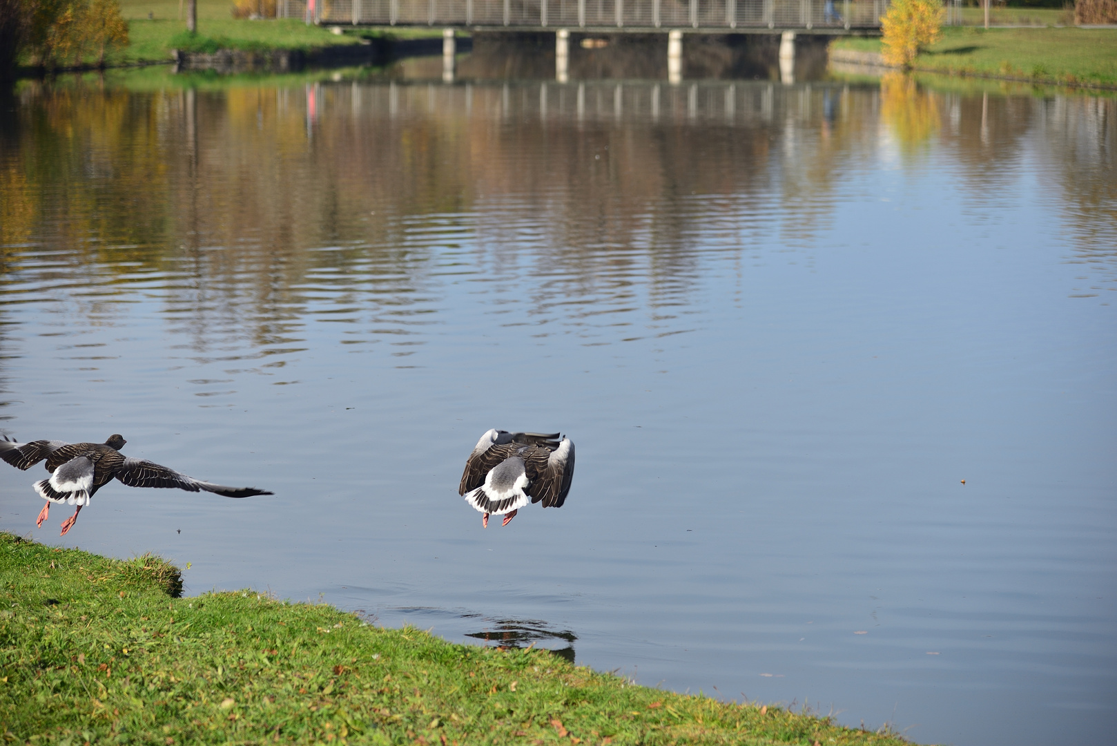 Dancing on the water