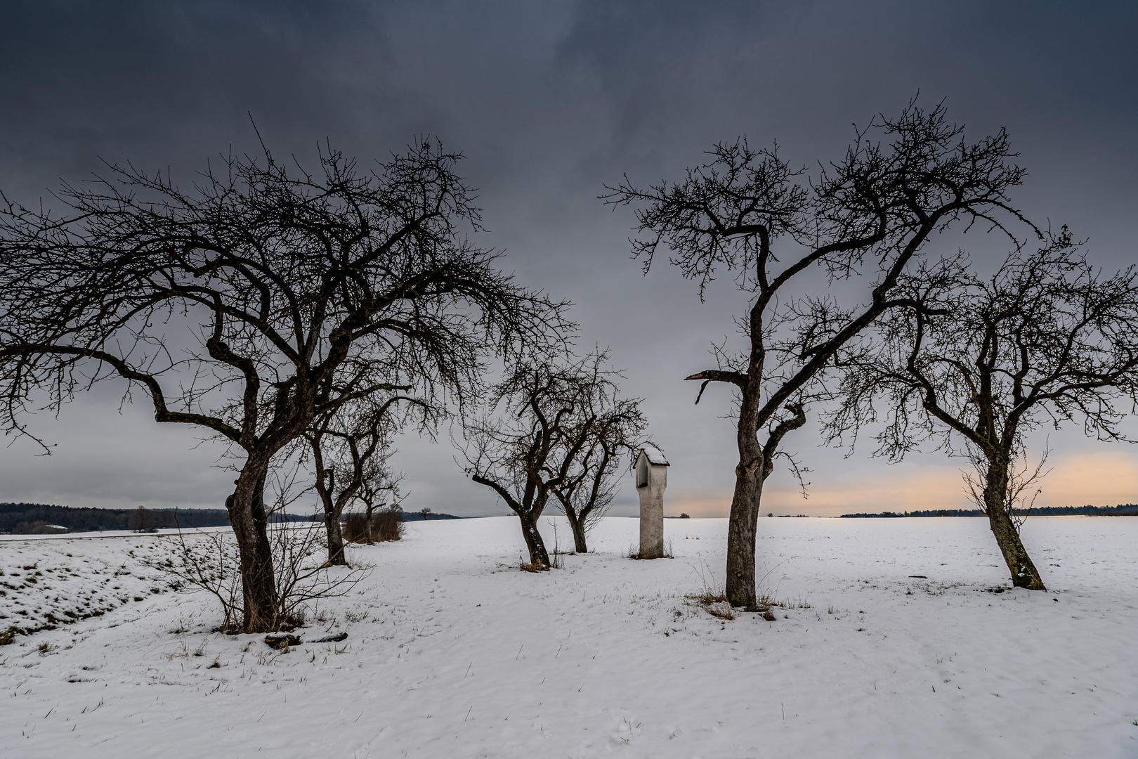 Dancing trees