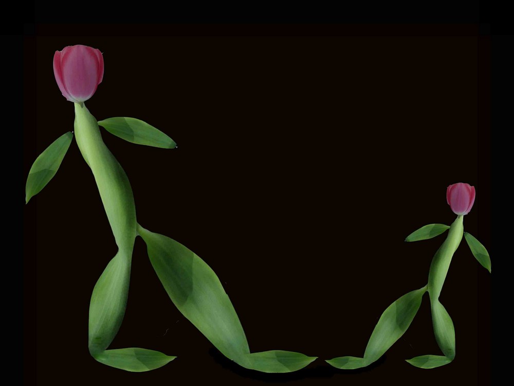 Dancing tulips