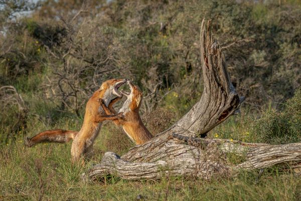 „Dancing with tears in my eyes“…