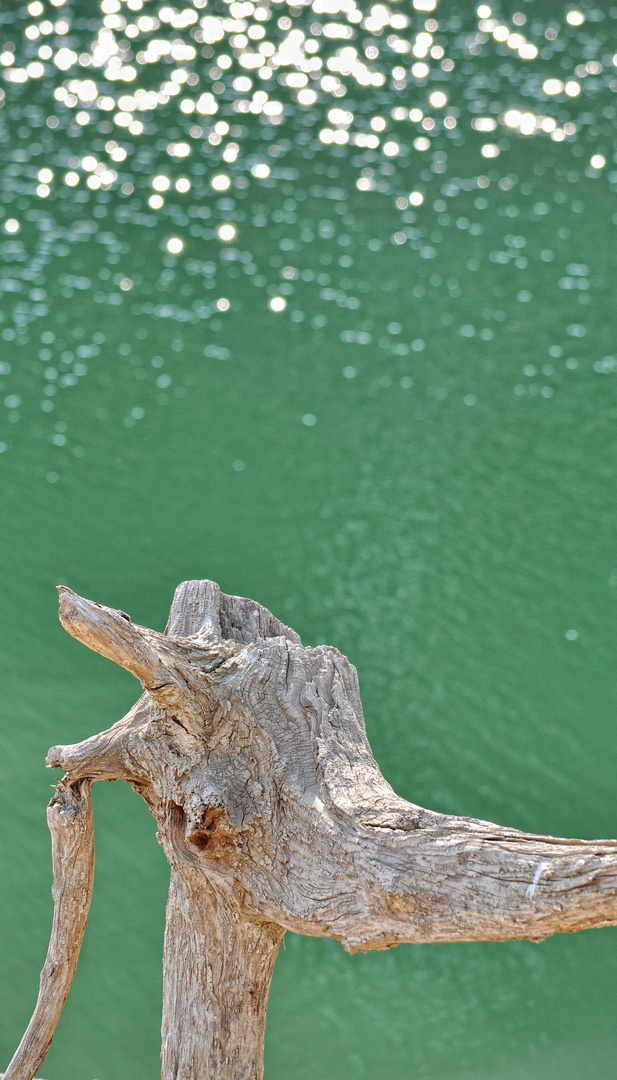 Dancing wood meets rock surfer