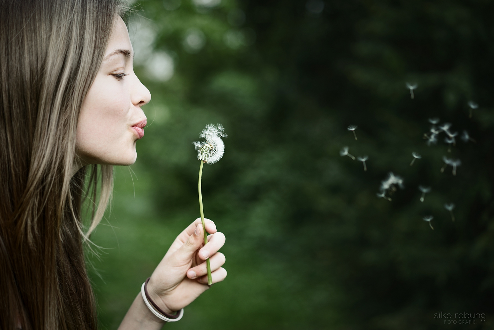 Dandelion