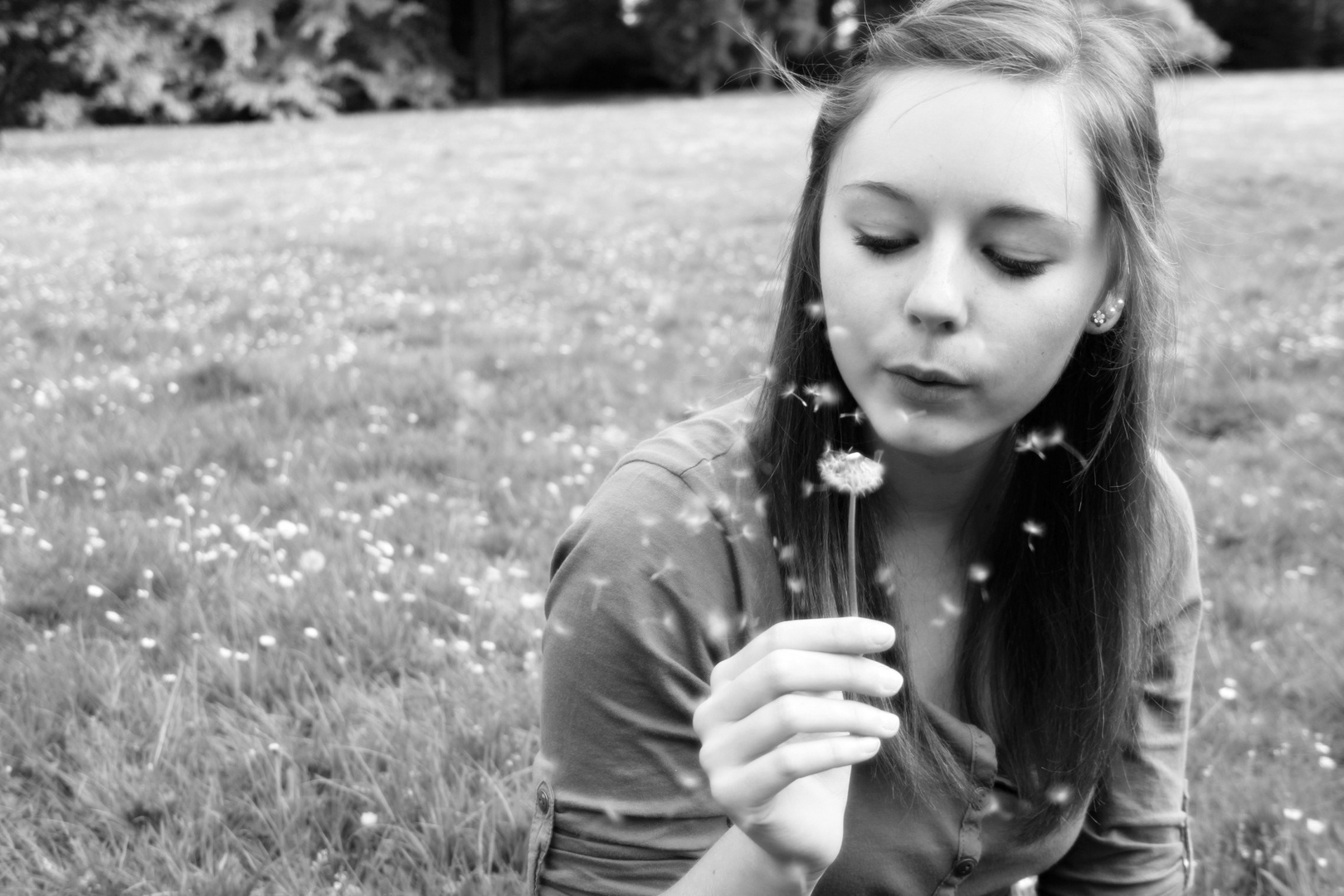 Dandelions.