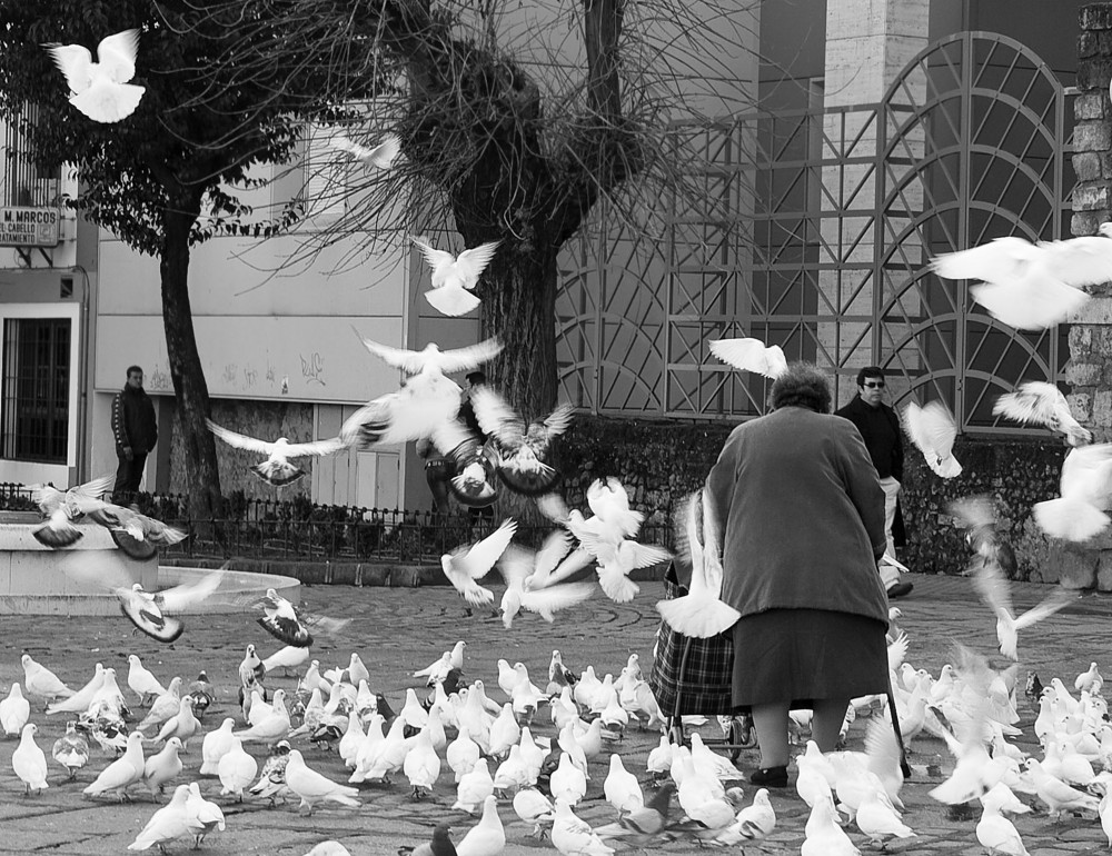 Dando de comer a las palomas