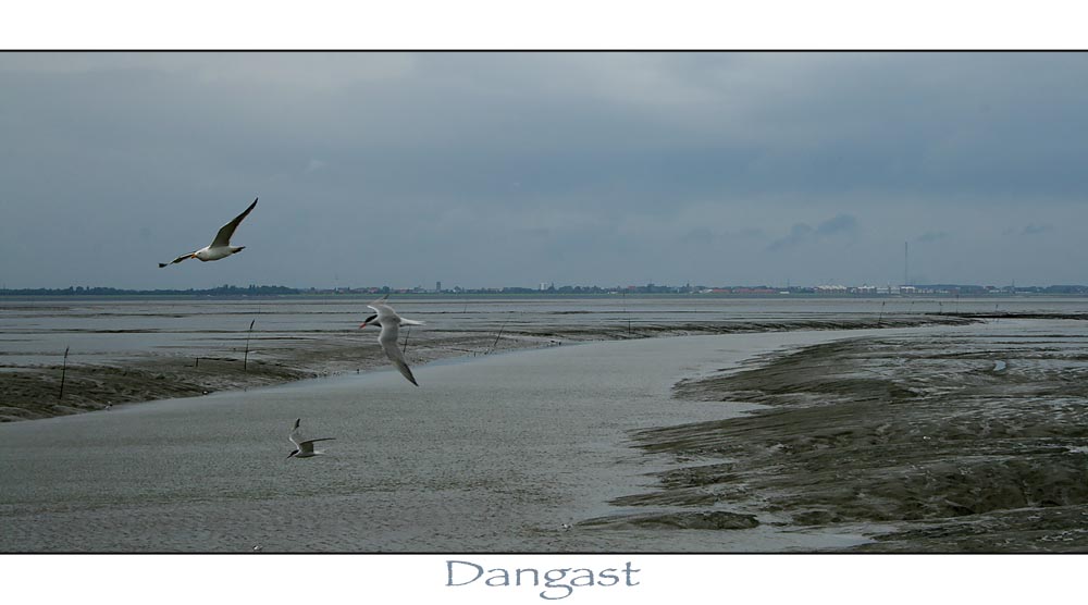 Dangast