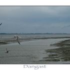 Dangast