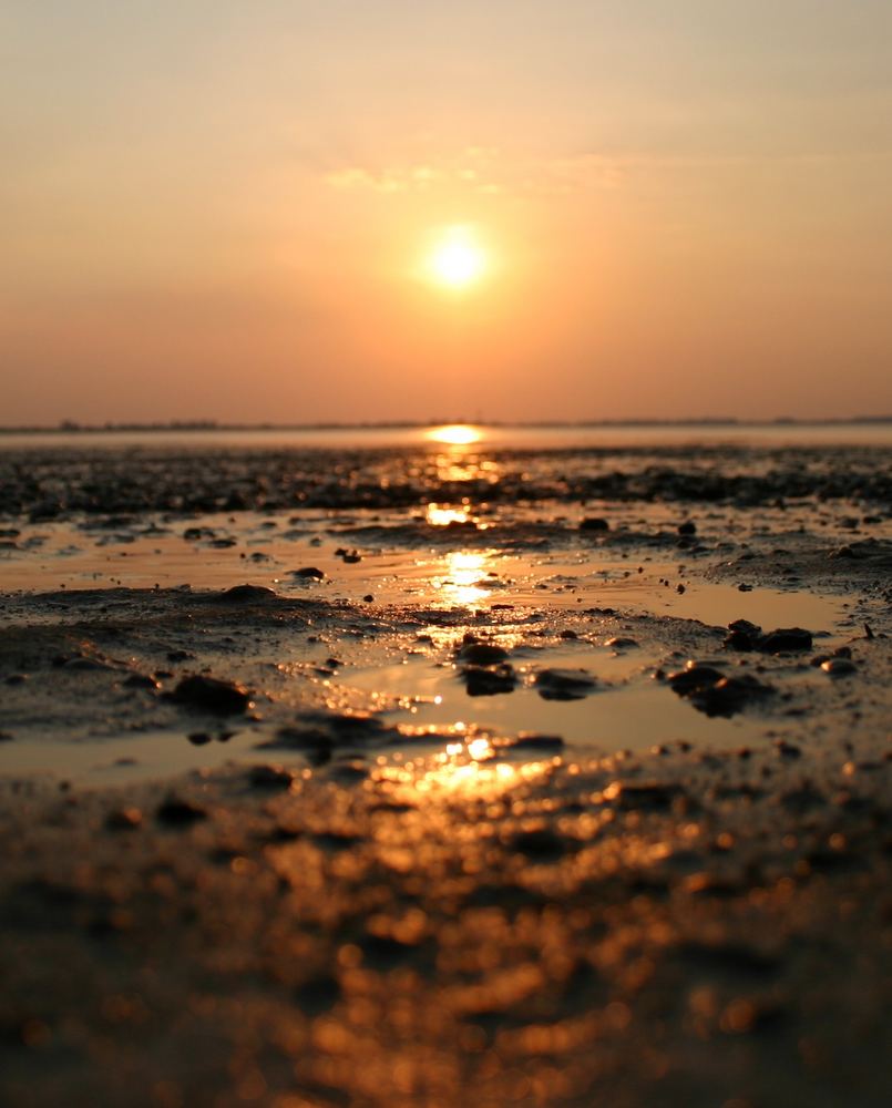 Dangast am Boden fotografiert teil 2