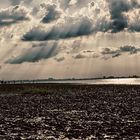 Dangast Beach