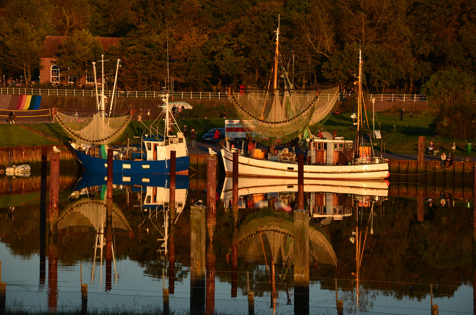 Dangaster Hafen im Herbst