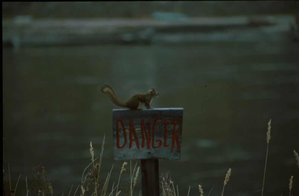 Danger