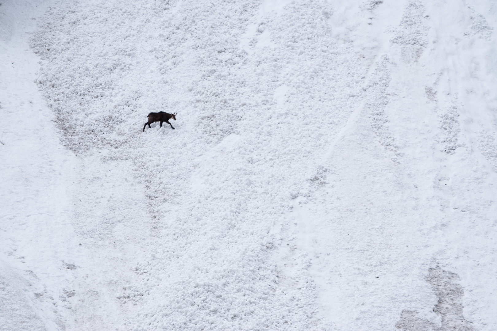 danger d'avalanches