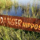 Danger Hippos!