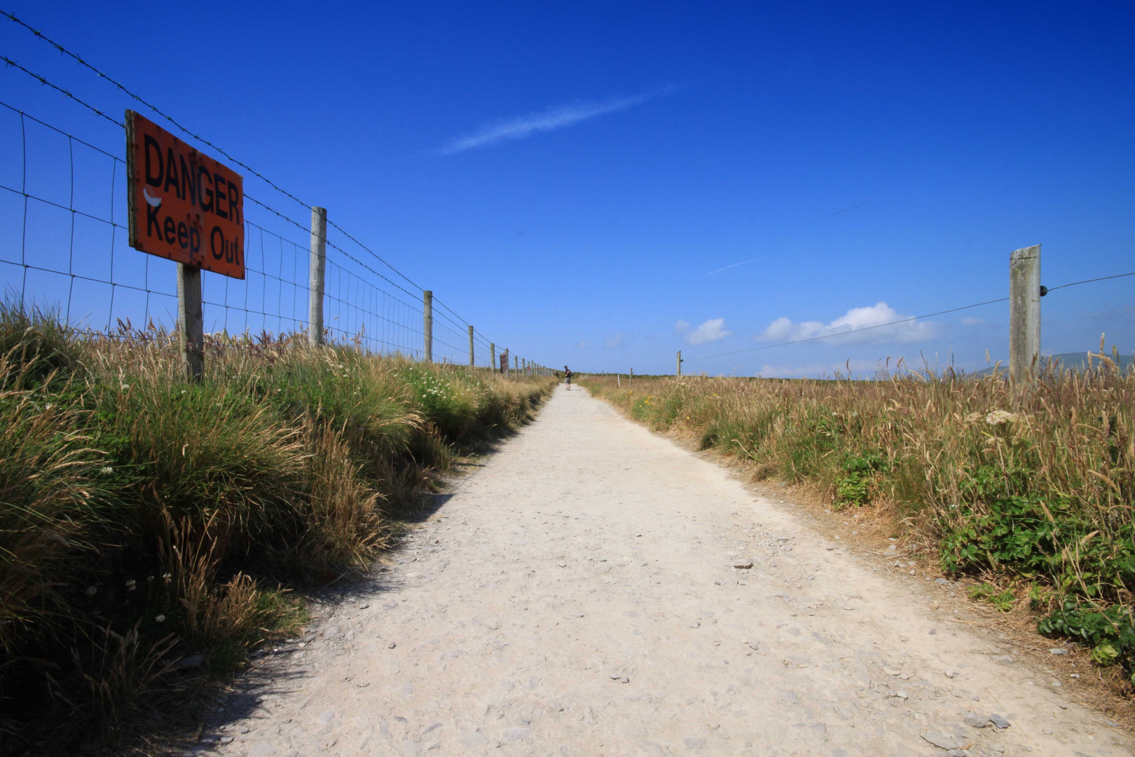 Dangerous Road