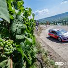 Dani Sordo - Mittelmosel