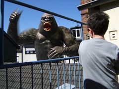 Daniel gegen King-Kong