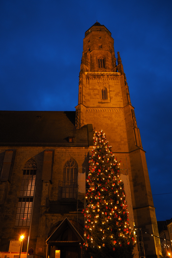 Daniel mit Weihnachtsbaum