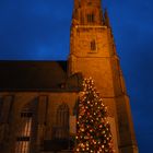 Daniel mit Weihnachtsbaum