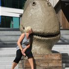 User Profile Photo