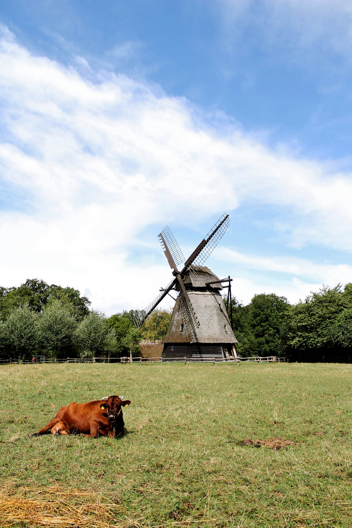 Danish Landscape