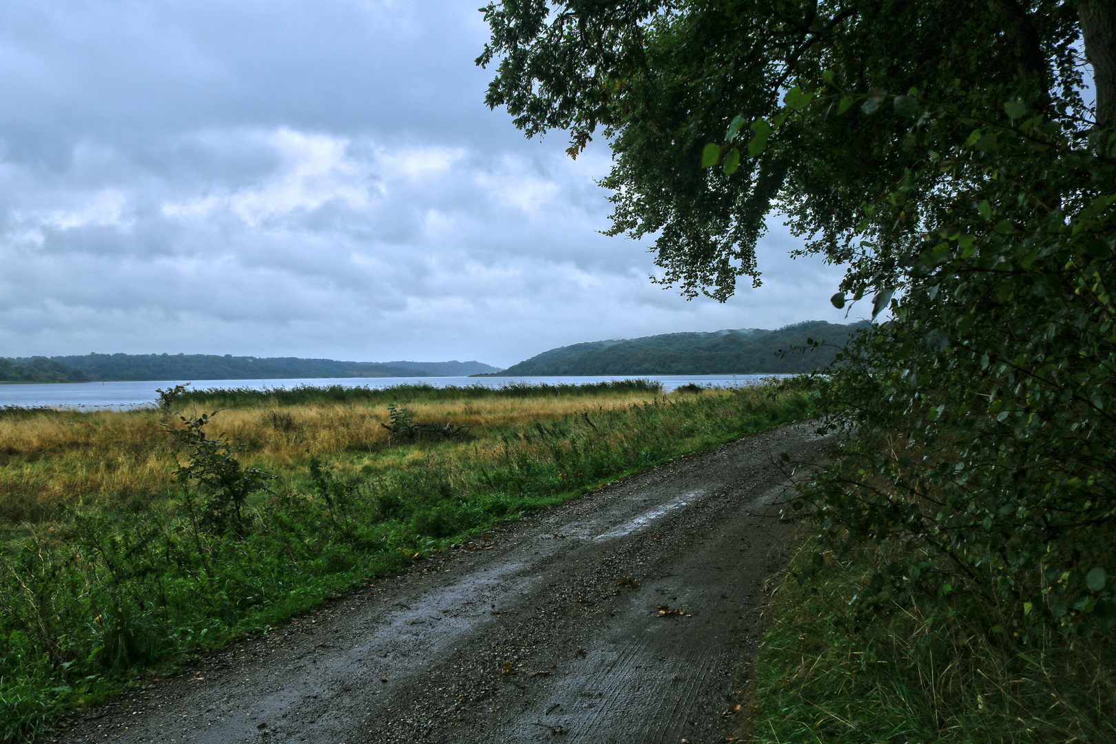 Danish Misty Fjord