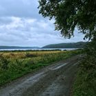 Danish Misty Fjord