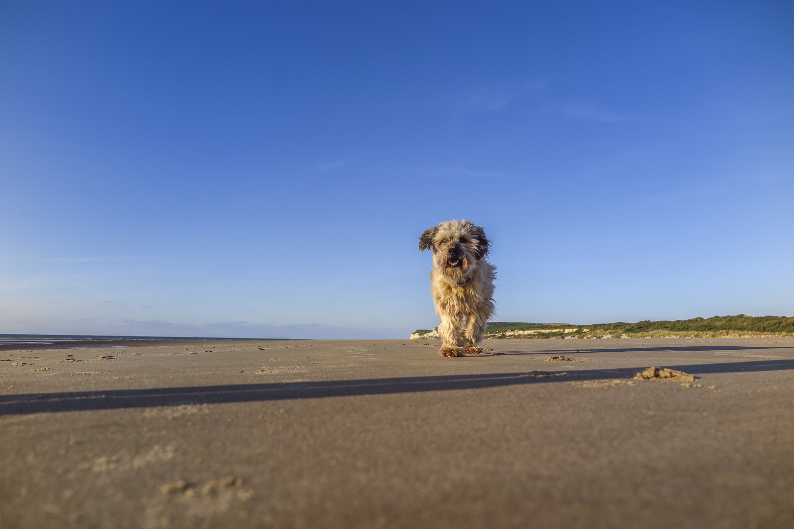 Dank der Canon G1X MKII bin ich der Größte am Strand