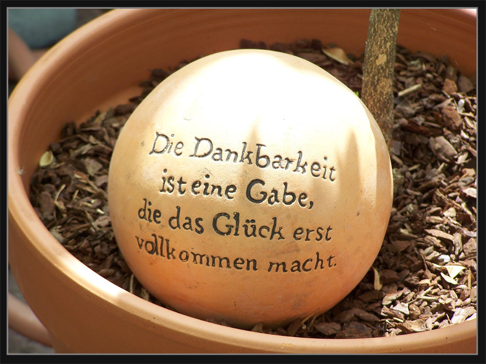 Dankbarkeit Foto & Bild stillleben, motive Bilder auf fotocommunity