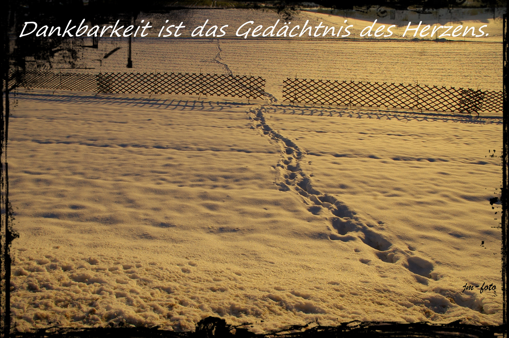 Get Dankbarkeit spruch For Android
