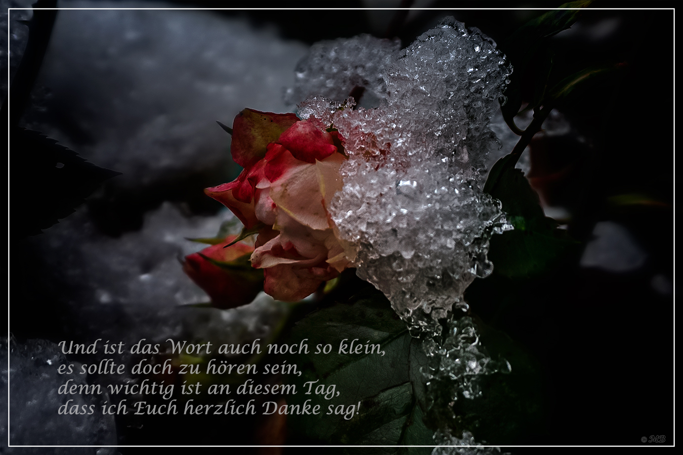 Danke Foto & Bild | gratulation und feiertage, natur-kreativ