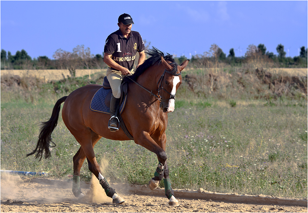 danke an die Reitsportgruppe