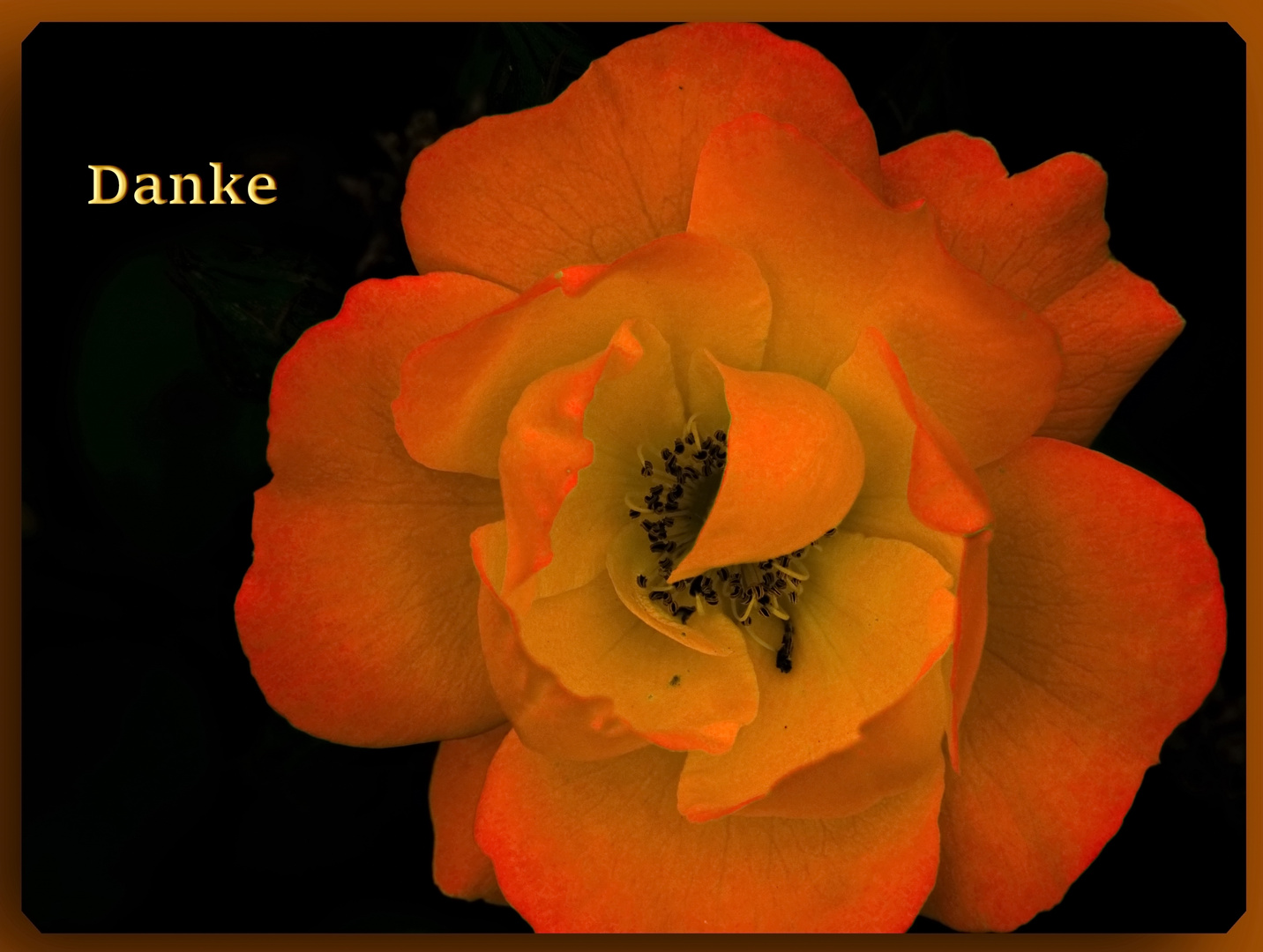 Danke Foto & Bild art, nature, spezial Bilder auf