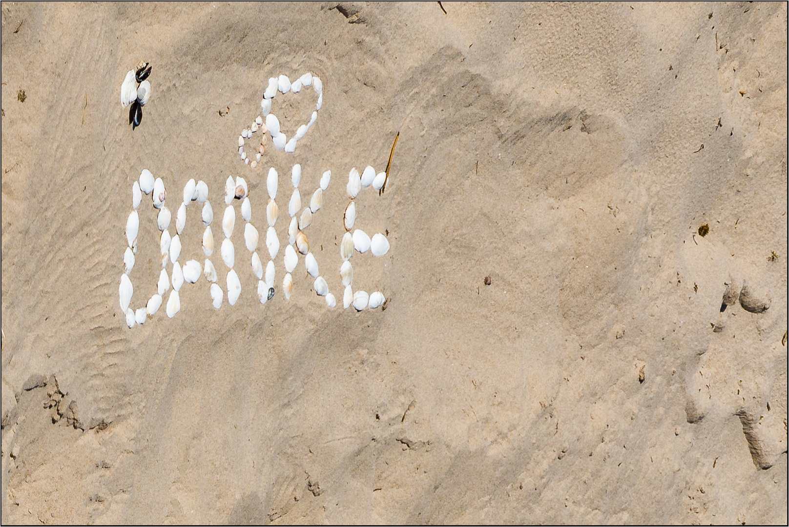 32 Danke Fur Die Gluckwunsche Spruche Finestwords