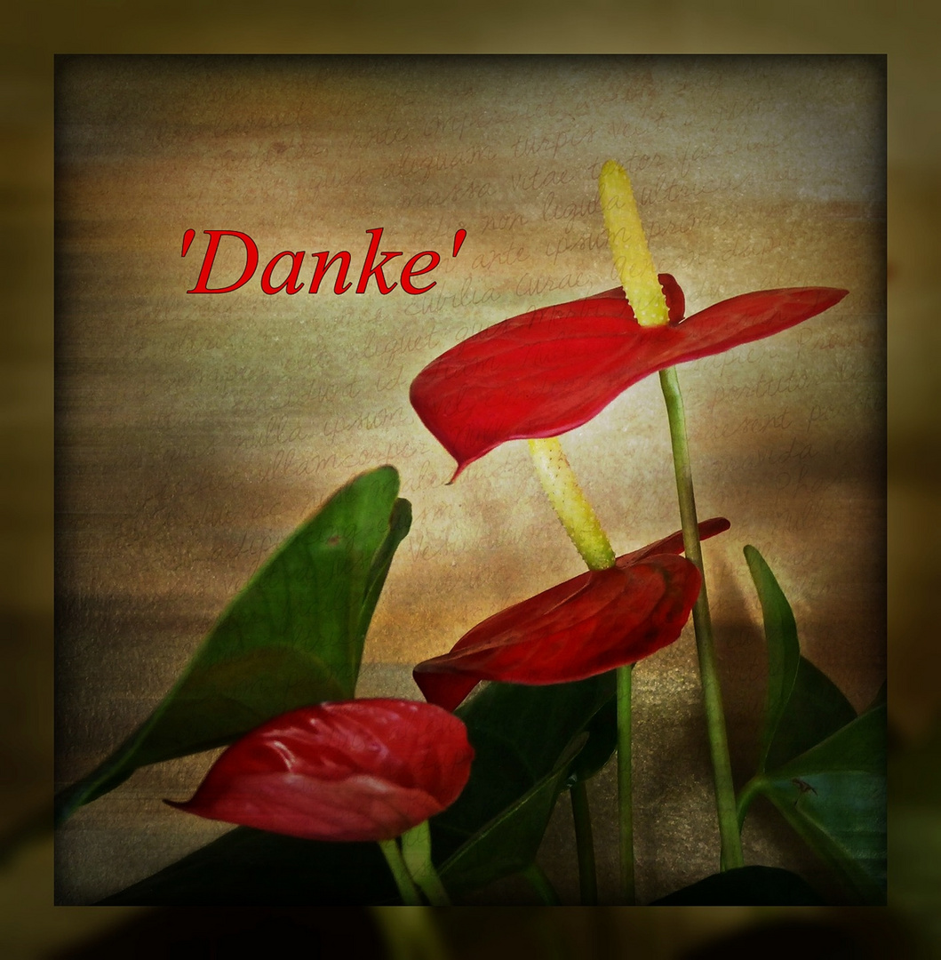 ' Danke '