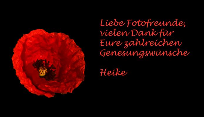 Danke für die guten Wünsche