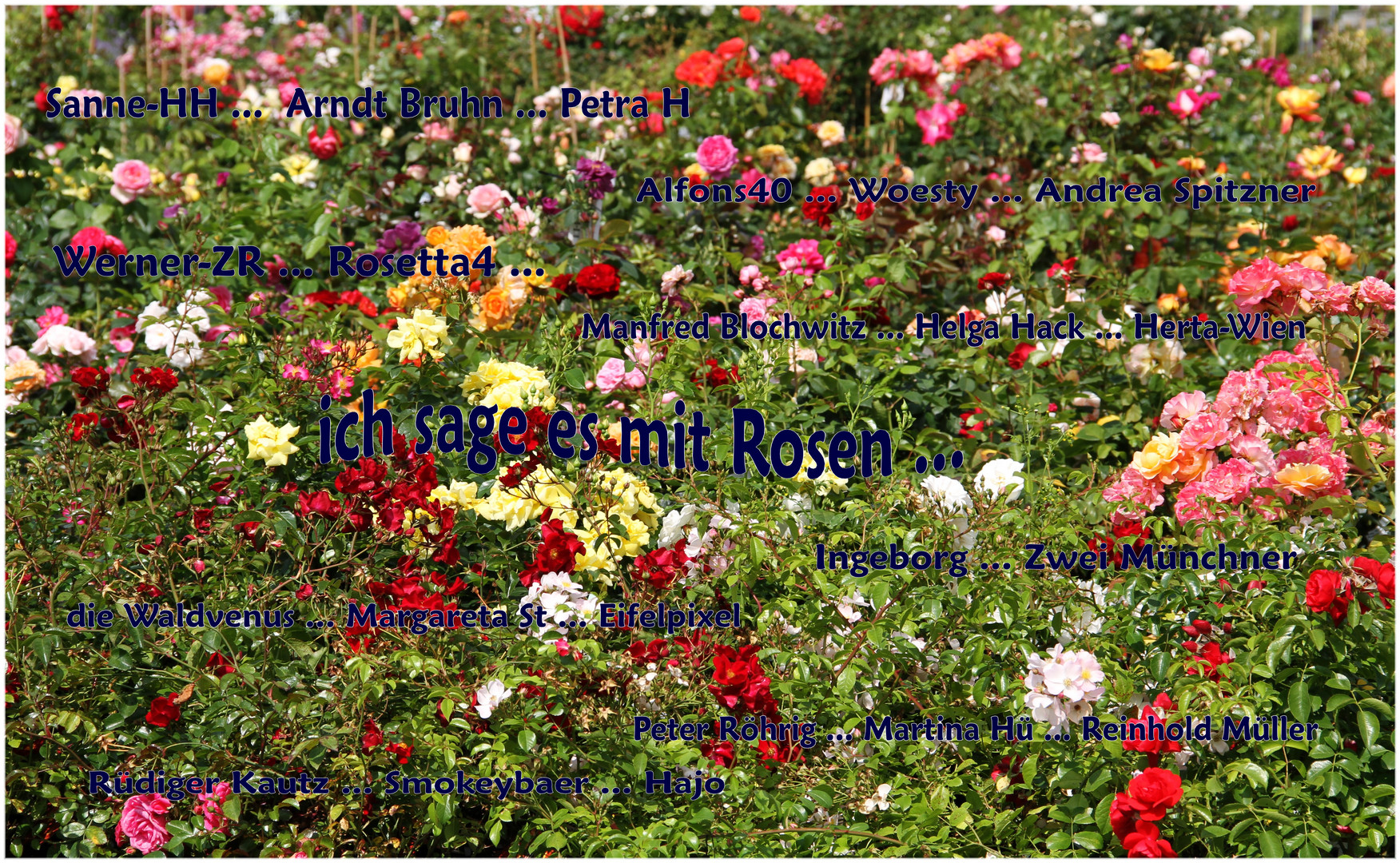 Danke ... ich sage es mit Rosen !