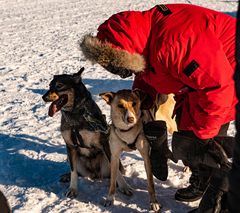 Danke Jungs das habt ihr toll gemacht.    ..DSC_3174