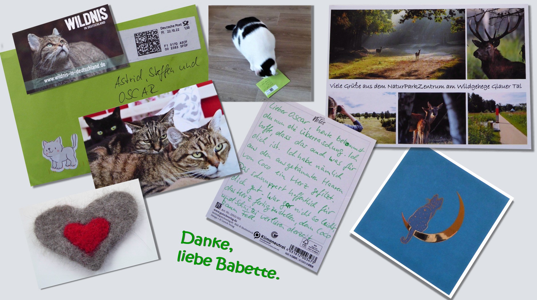 Danke, liebe Babette (2)