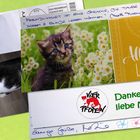 Danke liebe Minna (3) 