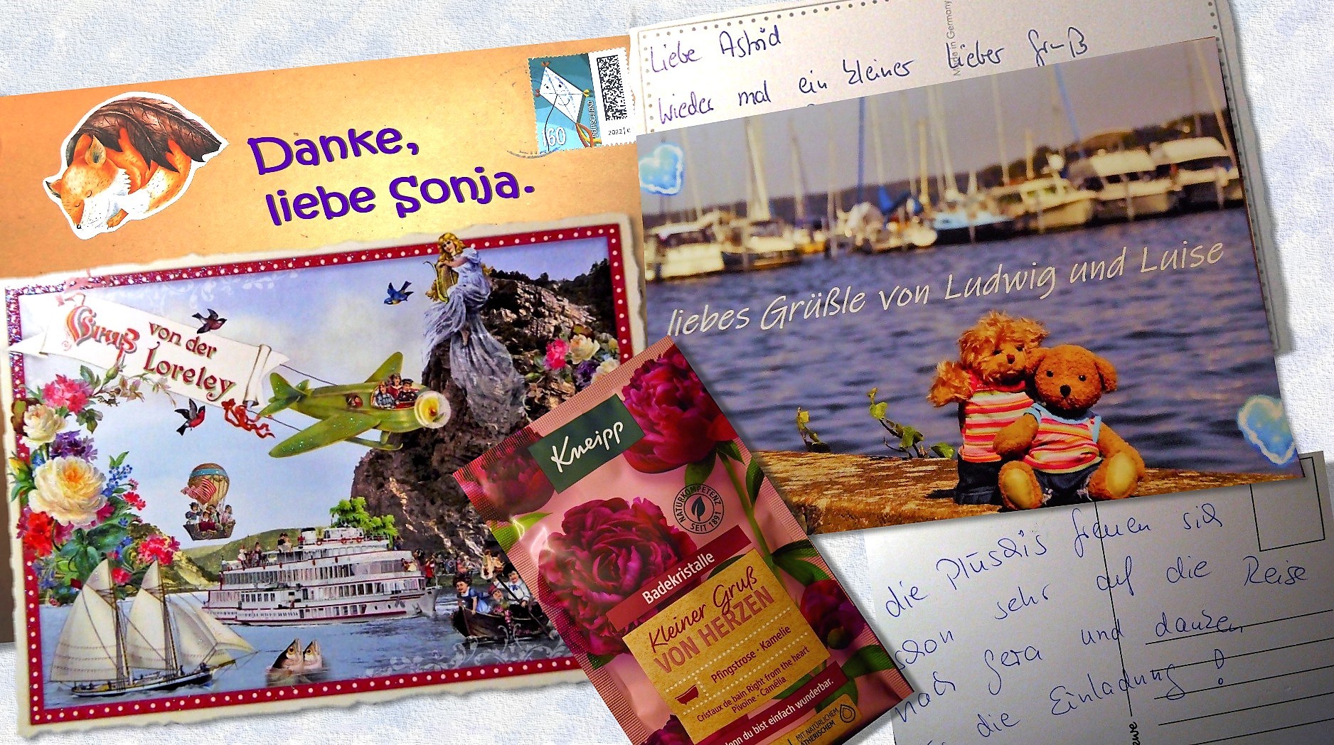 Danke liebe Sonja (3)