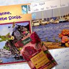 Danke liebe Sonja (3)